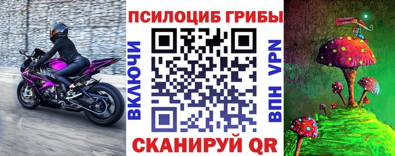 где купить наркотик  Баксан  Псилоцибиновые грибы Psilocybine cubensis 