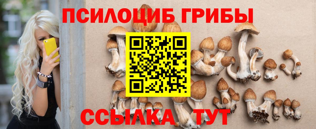 где можно купить наркотик  Вход с VPN  Баксан  Галлюциногенные грибы мухоморы 